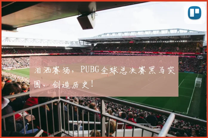 泪洒赛场,PUBG全球总决赛黑马突围,创造历史!