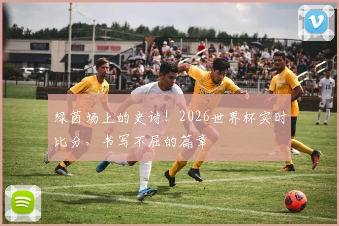 绿茵场上的史诗！2026世界杯实时比分，书写不屈的篇章