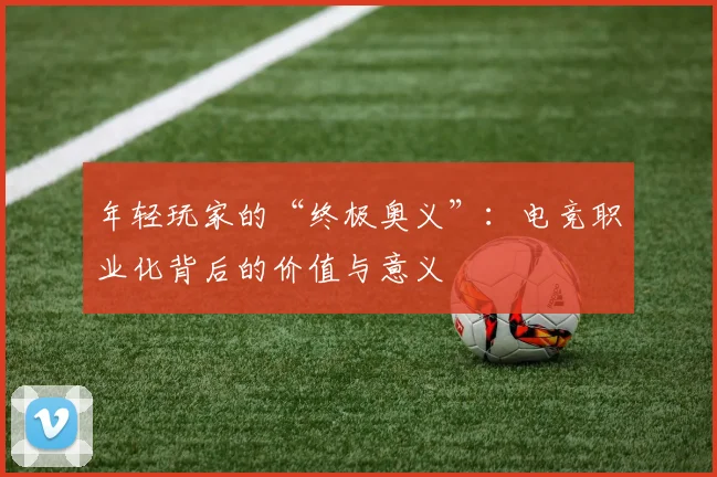 年轻玩家的“终极奥义”:电竞职业化背后的价值与意义