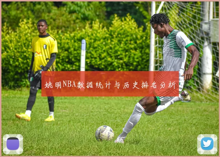 姚明NBA数据统计与历史排名分析