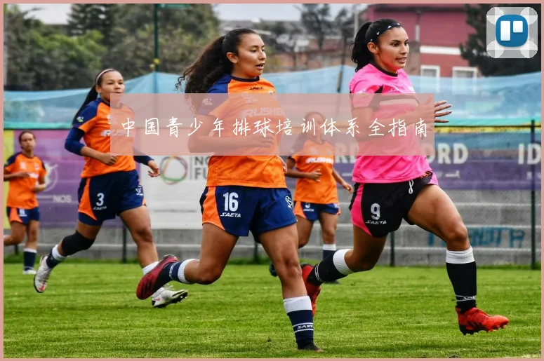 中国青少年排球培训体系全指南