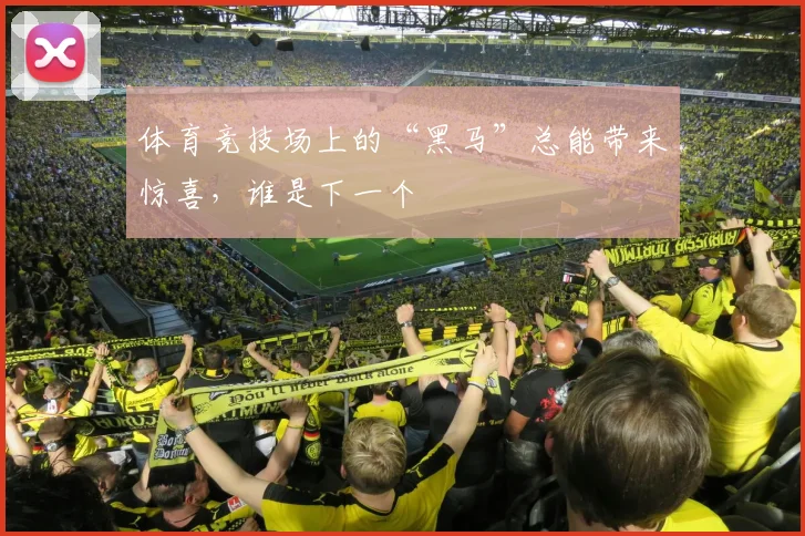 体育竞技场上的“黑马”总能带来惊喜，谁是下一个